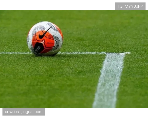 专访国米CEO：谈论新球场计划与夏季转会窗策略